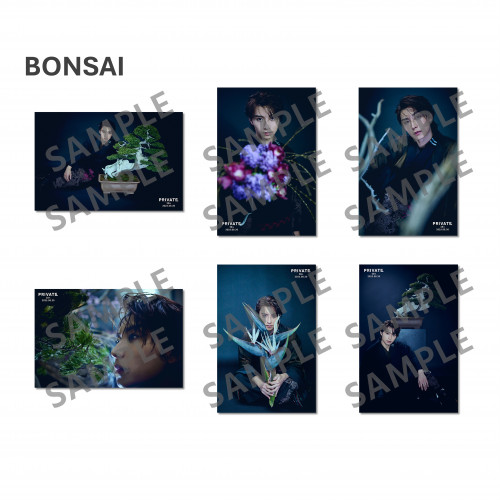Private Photo Set printed by FUJICOLOR
